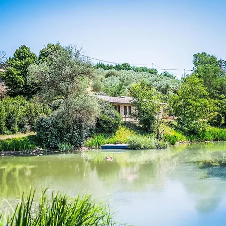 Giuncheto Casale By Interhome Casa de Férias